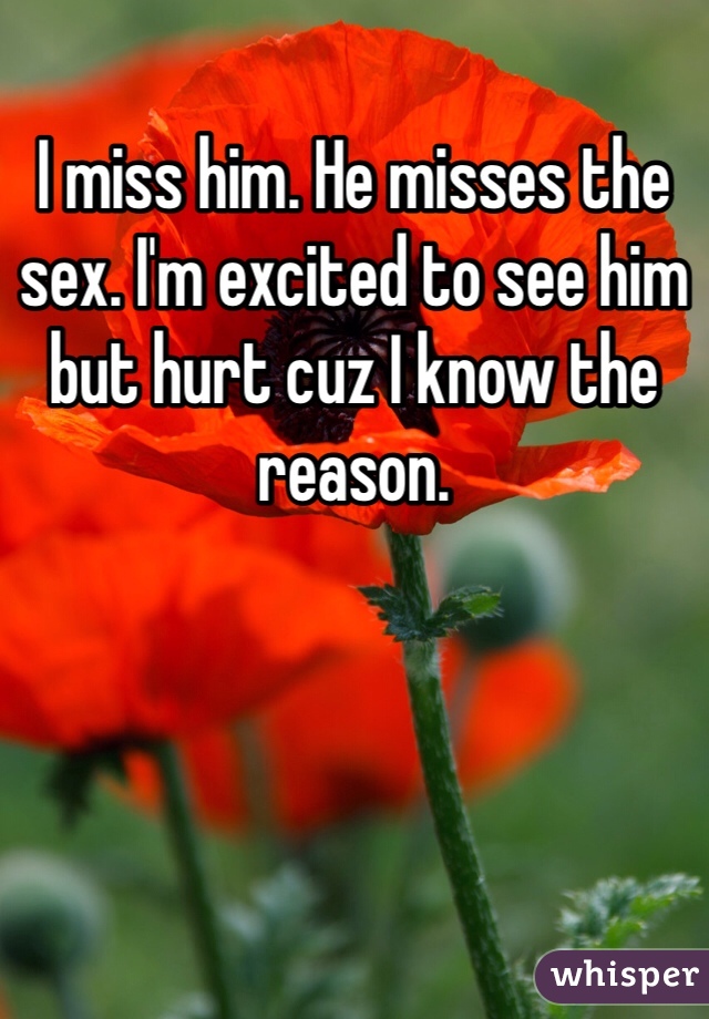 I miss him. He misses the sex. I'm excited to see him but hurt cuz I know the reason.