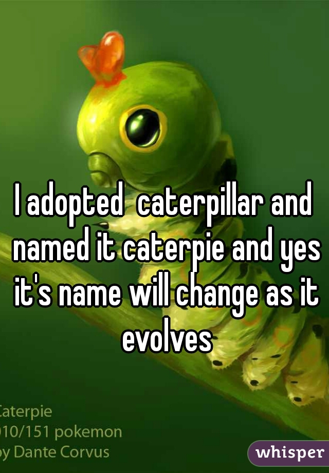 I adopted  caterpillar and named it caterpie and yes it's name will change as it evolves