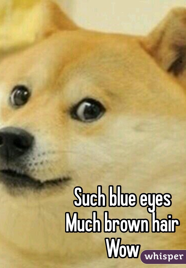 Such blue eyes
Much brown hair 
Wow