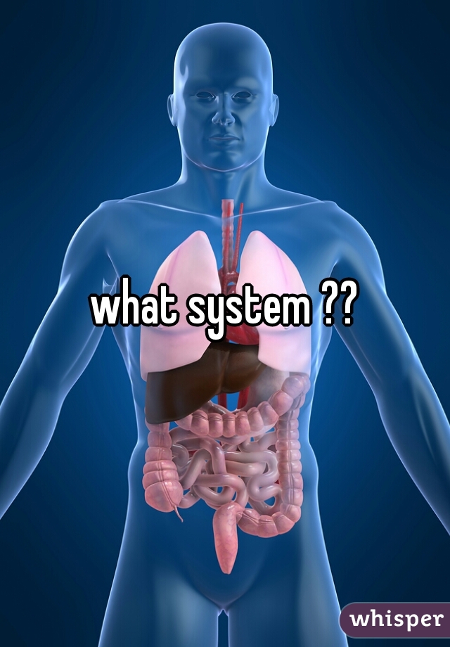what system ??
