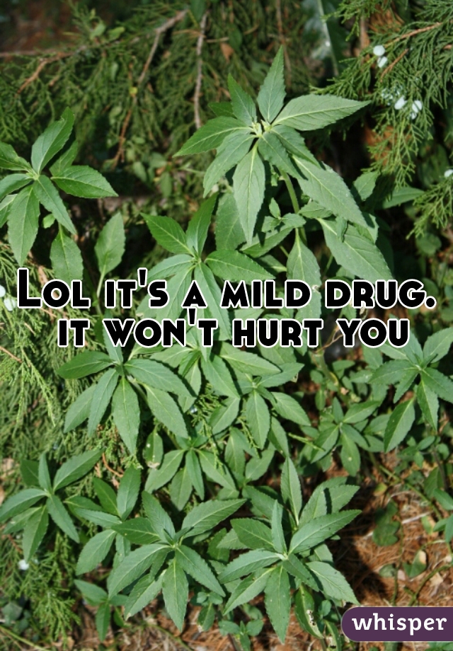Lol it's a mild drug. it won't hurt you