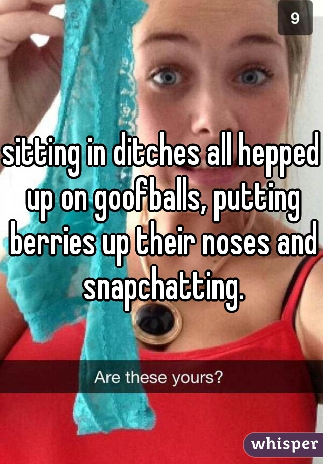 sitting in ditches all hepped up on goofballs, putting berries up their noses and snapchatting.