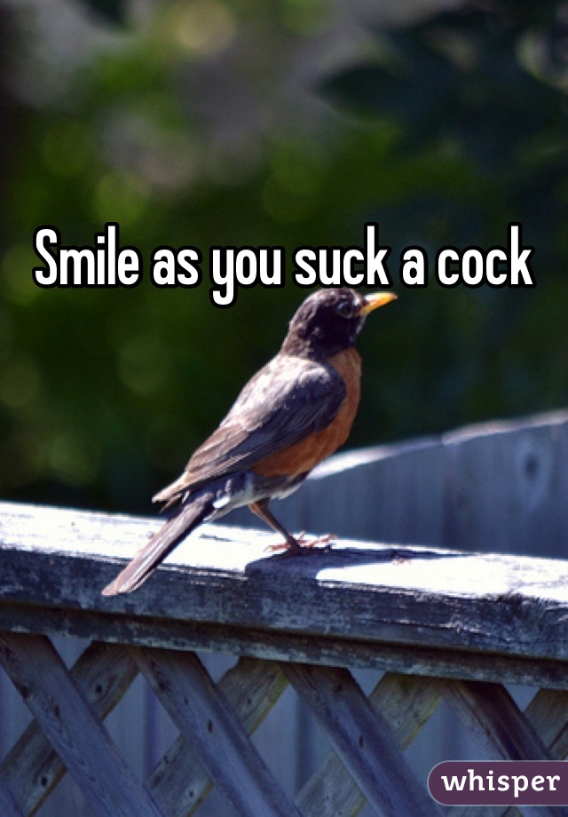Smile as you suck a cock 