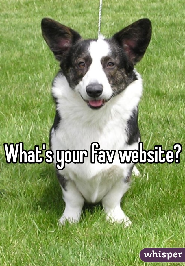 What's your fav website?