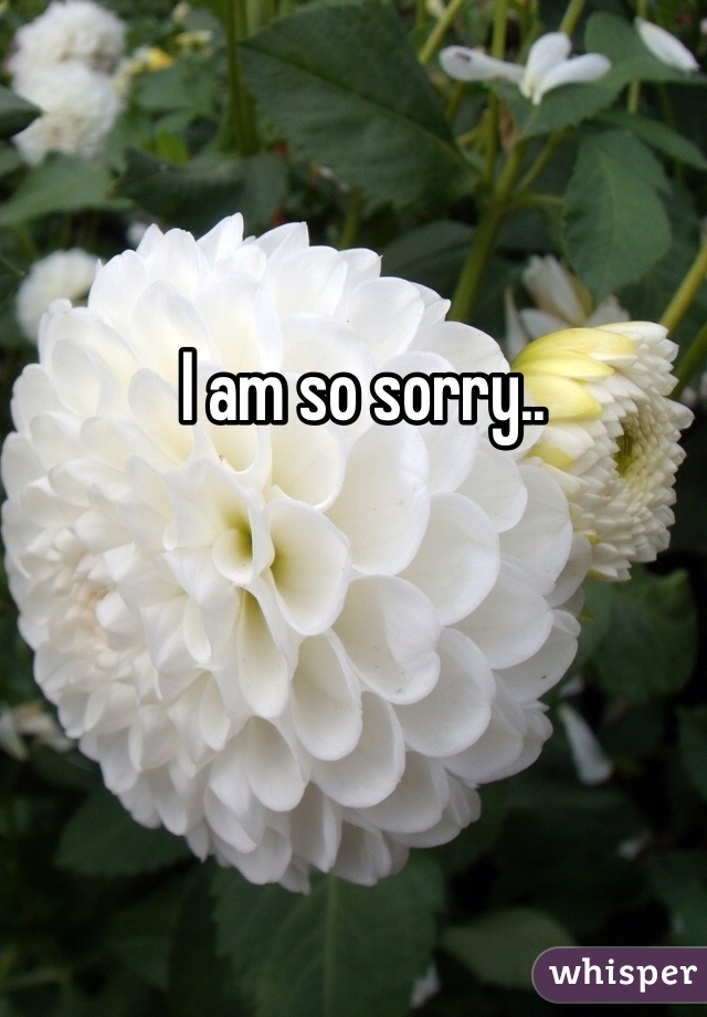 I am so sorry..