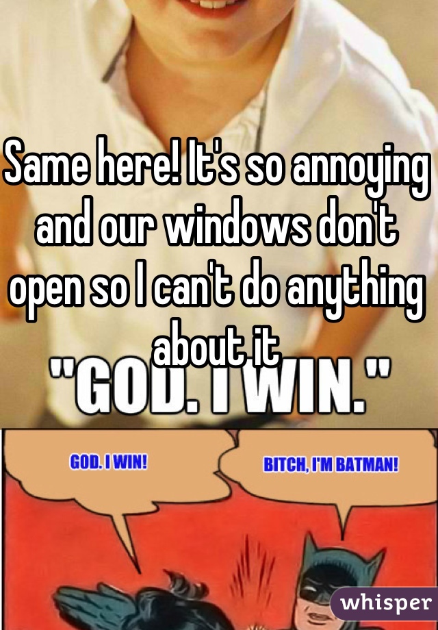 Same here! It's so annoying and our windows don't open so I can't do anything about it