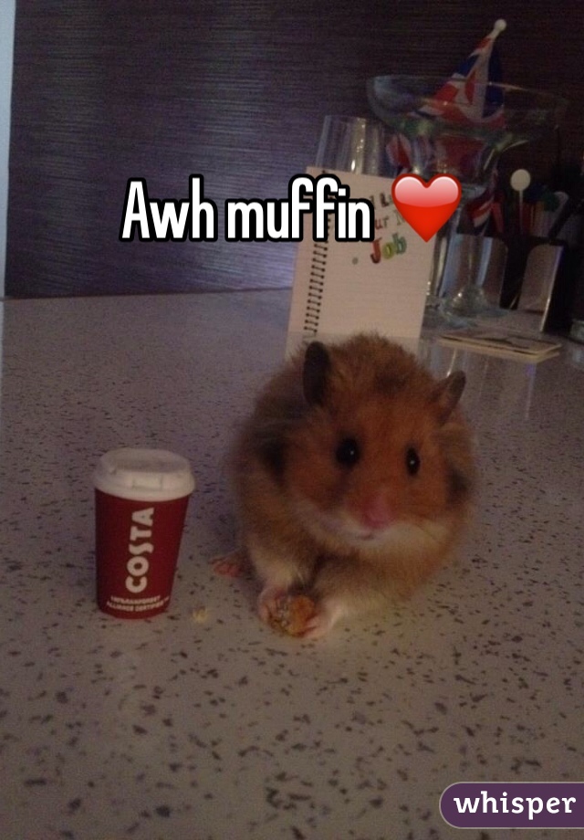 Awh muffin ❤️