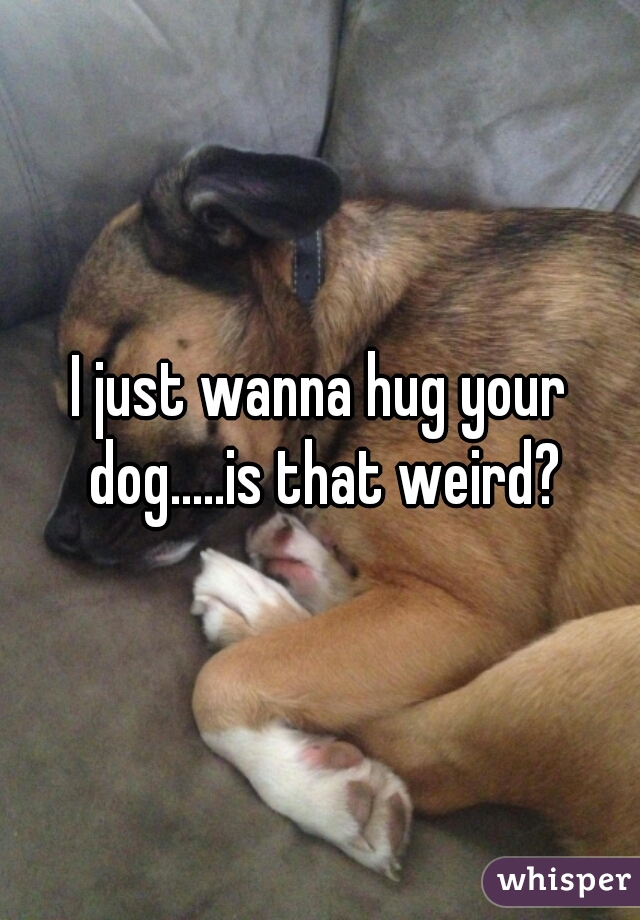 I just wanna hug your dog.....is that weird?