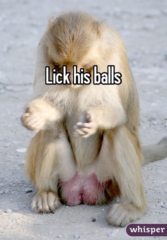 Lick his balls 