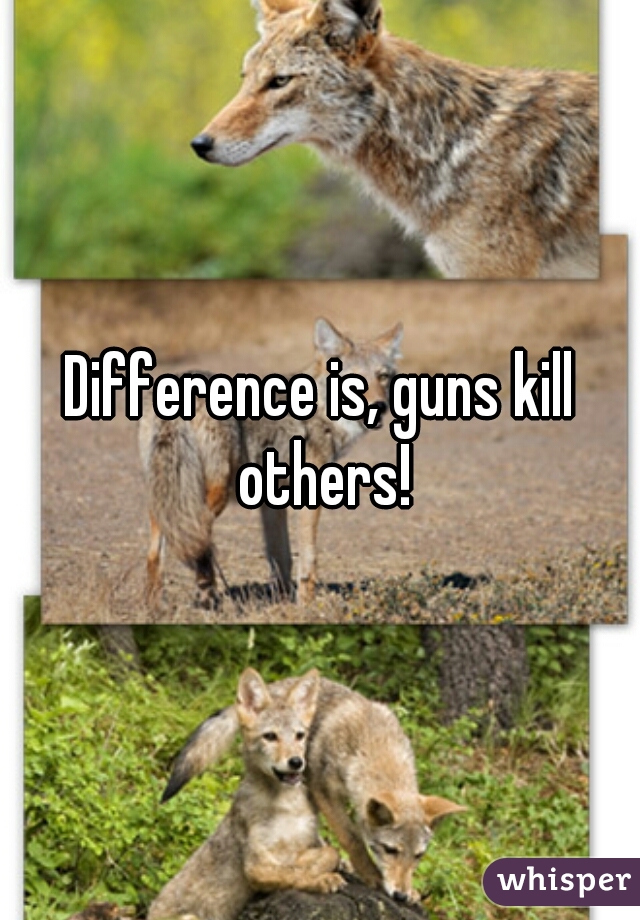 Difference is, guns kill others!