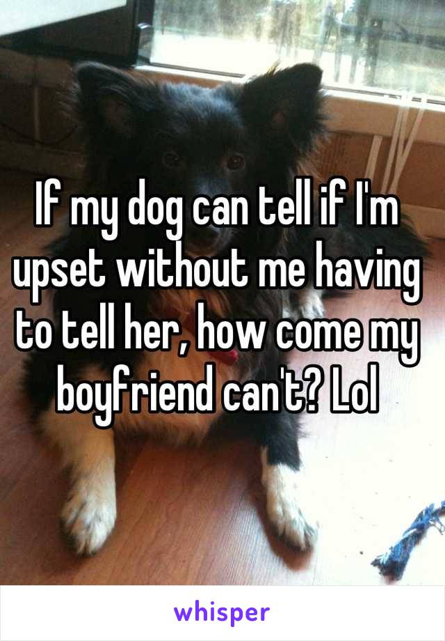 If my dog can tell if I'm upset without me having to tell her, how come my boyfriend can't? Lol