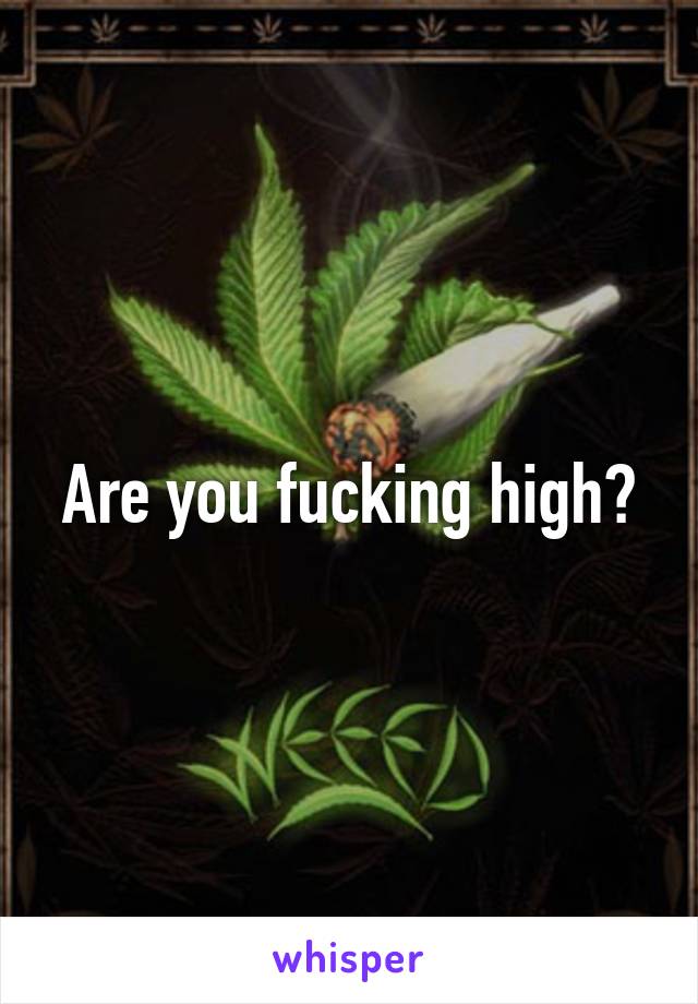 Are you fucking high?