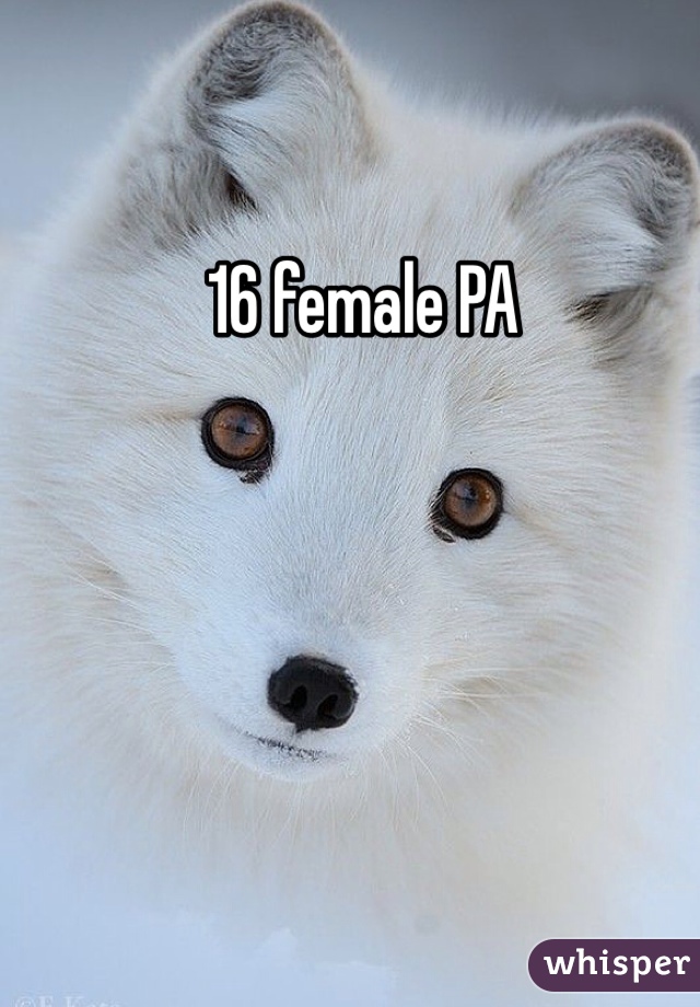 16 female PA