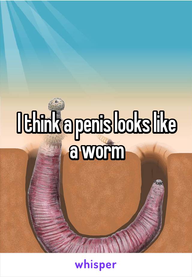 I think a penis looks like a worm