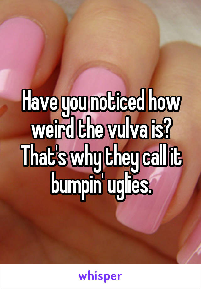 Have you noticed how weird the vulva is? That's why they call it bumpin' uglies.