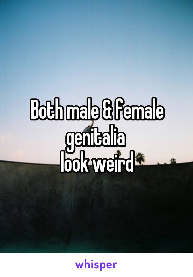 Both male & female genitalia 
look weird