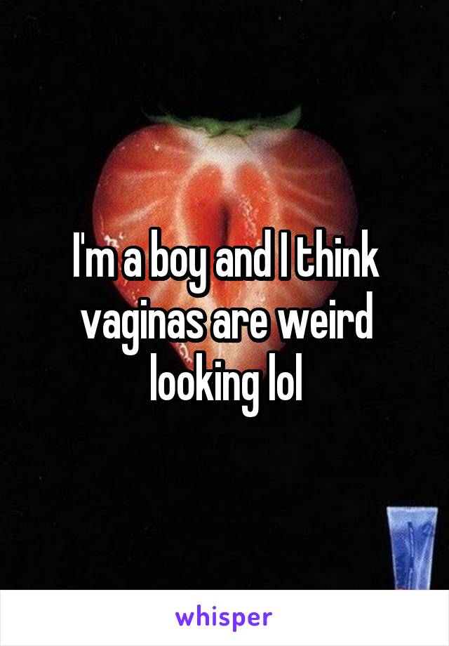 I'm a boy and I think vaginas are weird looking lol