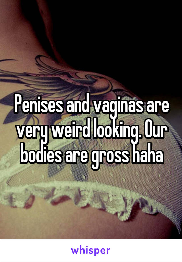 Penises and vaginas are very weird looking. Our bodies are gross haha