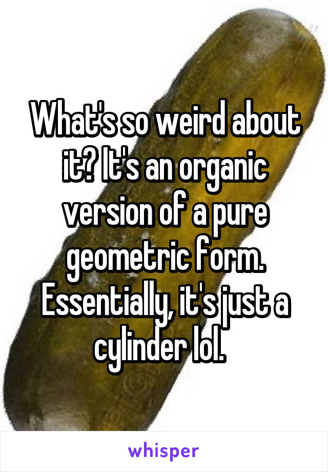 What's so weird about it? It's an organic version of a pure geometric form. Essentially, it's just a cylinder lol.  