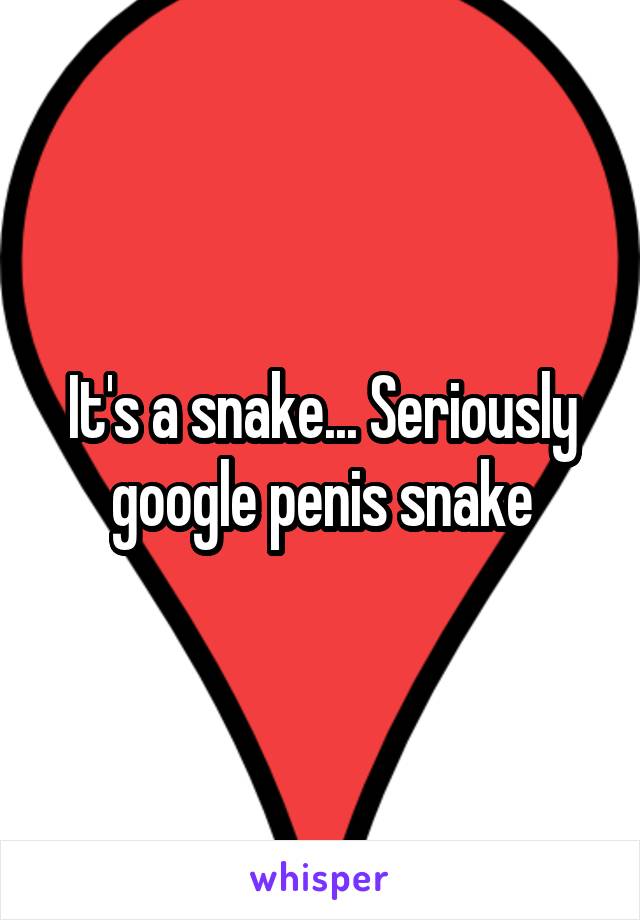 It's a snake... Seriously google penis snake