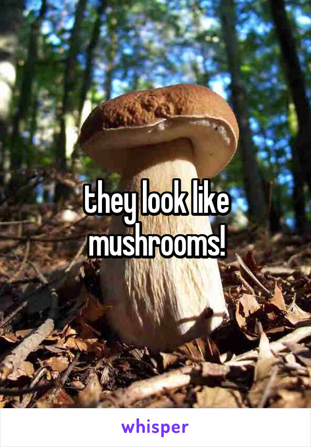 they look like mushrooms!