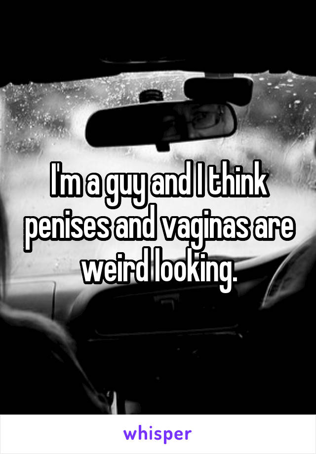 I'm a guy and I think penises and vaginas are weird looking.