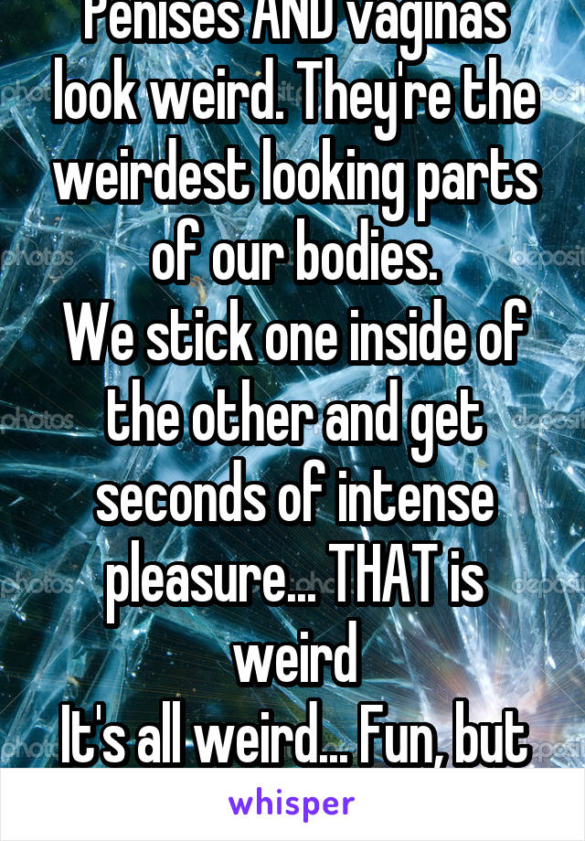 Penises AND vaginas look weird. They're the weirdest looking parts of our bodies.
We stick one inside of the other and get seconds of intense pleasure... THAT is weird
It's all weird... Fun, but weird.