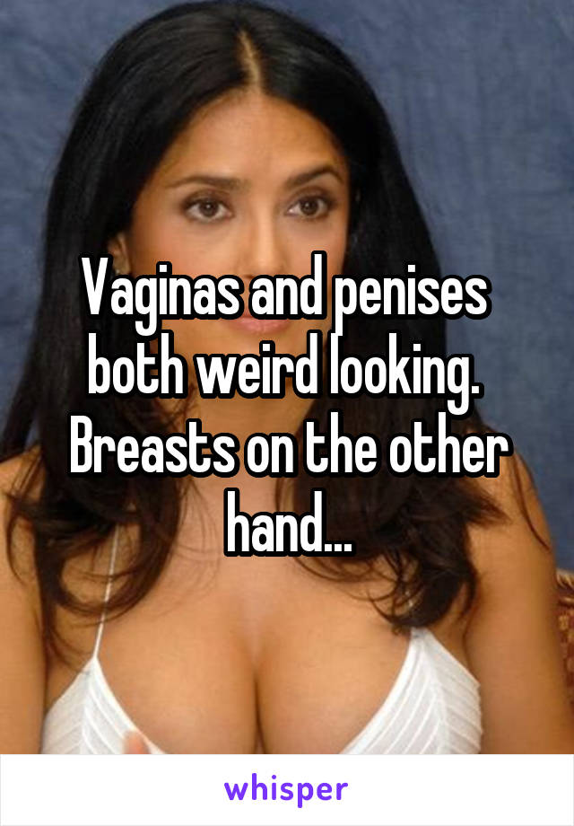 Vaginas and penises  both weird looking.  Breasts on the other hand...