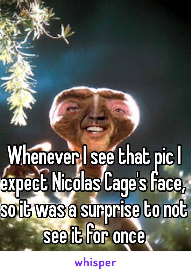 Whenever I see that pic I expect Nicolas Cage's face, so it was a surprise to not see it for once