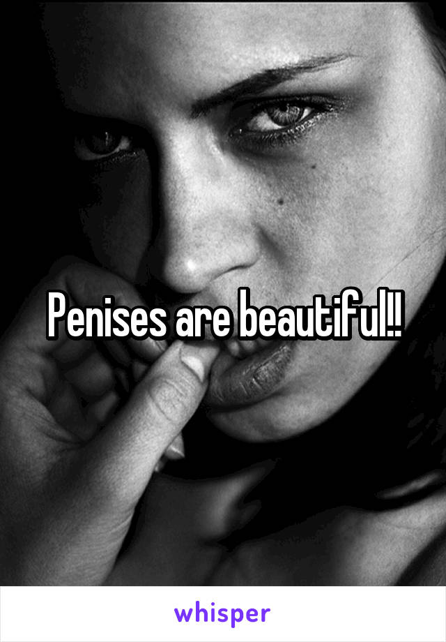 Penises are beautiful!!