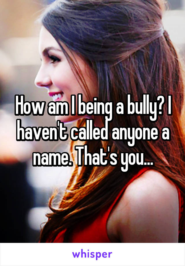 How am I being a bully? I haven't called anyone a name. That's you...