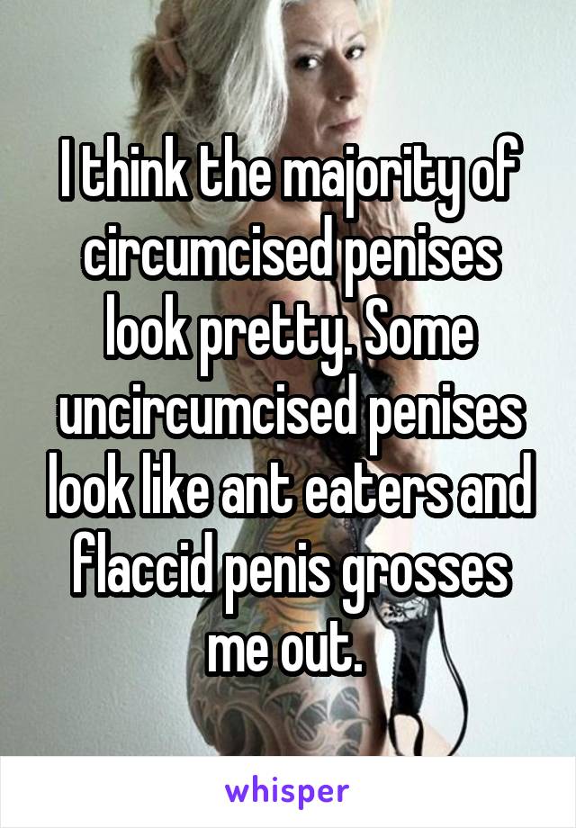 I think the majority of circumcised penises look pretty. Some uncircumcised penises look like ant eaters and flaccid penis grosses me out. 