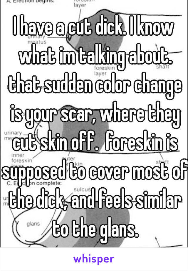 I have a cut dick. I know what im talking about. that sudden color change is your scar, where they cut skin off.  foreskin is supposed to cover most of the dick, and feels similar to the glans.