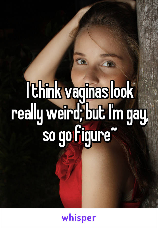 I think vaginas look really weird; but I'm gay, so go figure~