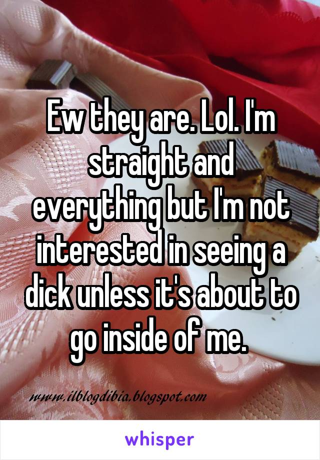 Ew they are. Lol. I'm straight and everything but I'm not interested in seeing a dick unless it's about to go inside of me. 