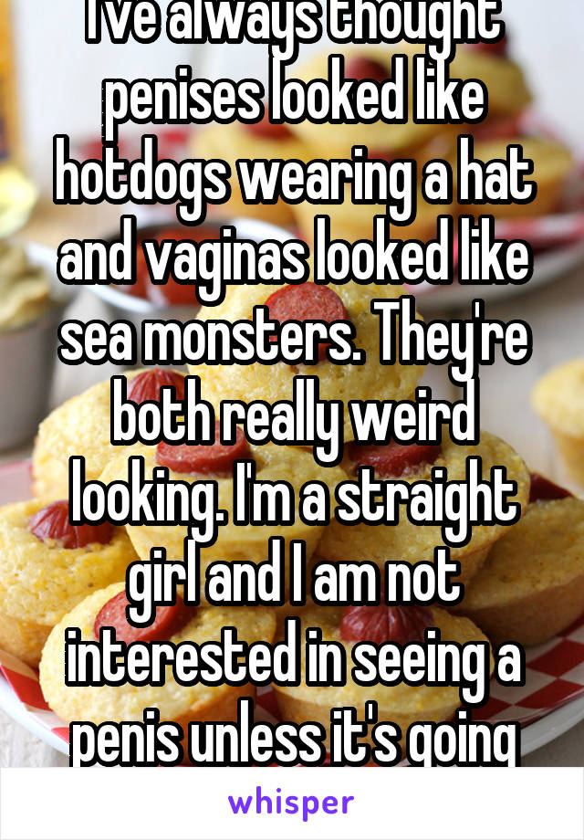 I've always thought penises looked like hotdogs wearing a hat and vaginas looked like sea monsters. They're both really weird looking. I'm a straight girl and I am not interested in seeing a penis unless it's going inside me ✋