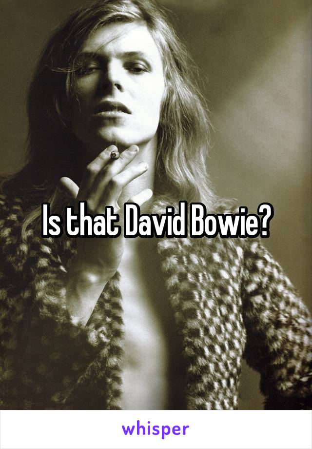 Is that David Bowie?