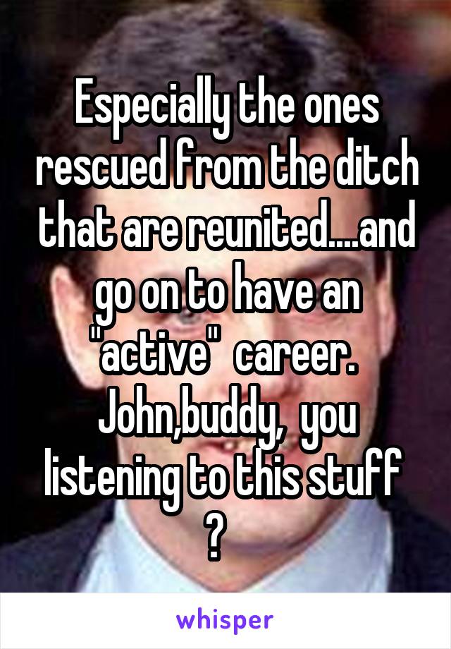 Especially the ones rescued from the ditch that are reunited....and go on to have an "active"  career.  John,buddy,  you listening to this stuff  ?   