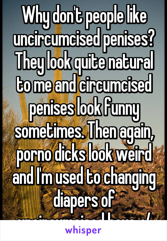 Why don't people like uncircumcised penises? They look quite natural to me and circumcised penises look funny sometimes. Then again, porno dicks look weird and I'm used to changing diapers of uncircumcised boys. :/