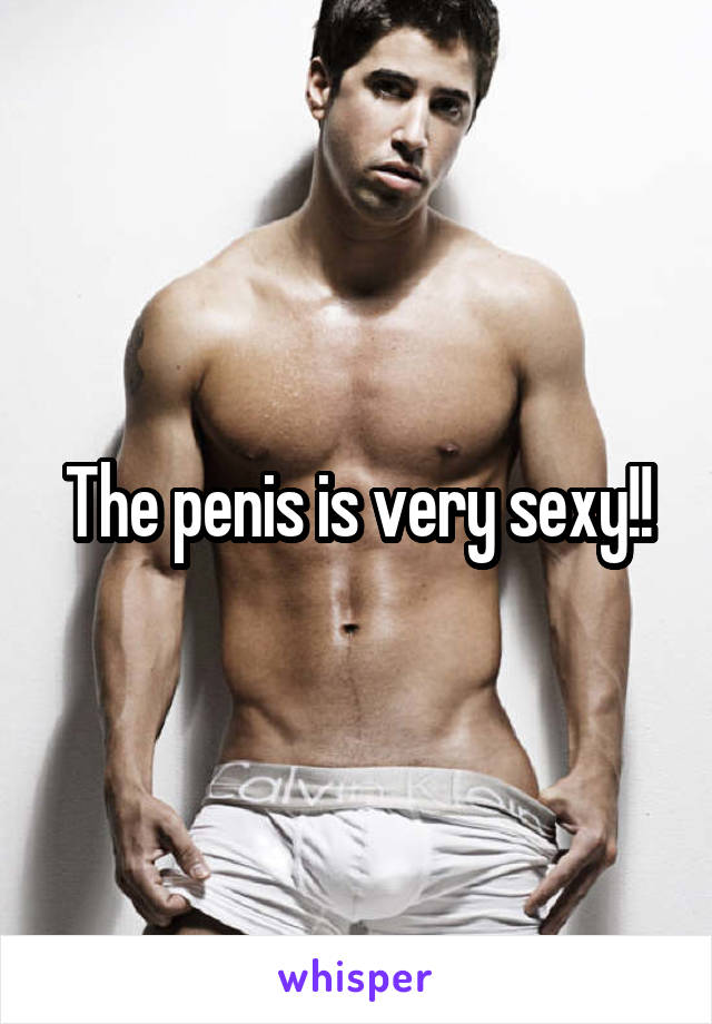 The penis is very sexy!!