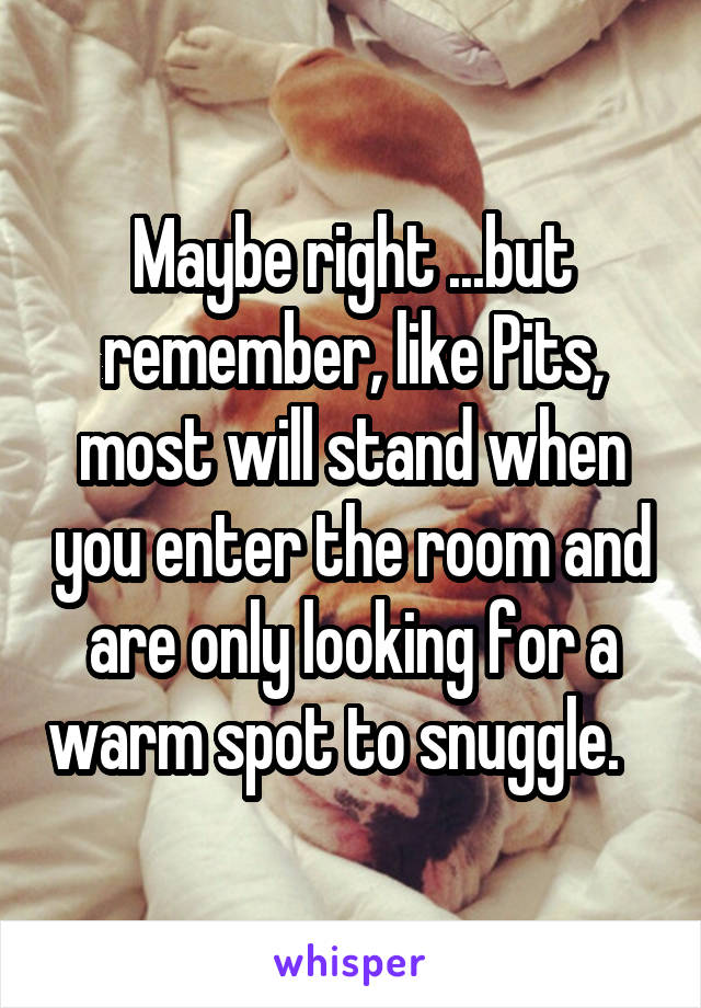 Maybe right ...but remember, like Pits, most will stand when you enter the room and are only looking for a warm spot to snuggle.   