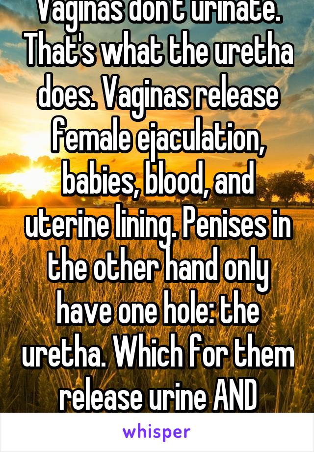 Vaginas don't urinate. That's what the uretha does. Vaginas release female ejaculation, babies, blood, and uterine lining. Penises in the other hand only have one hole: the uretha. Which for them release urine AND semen.