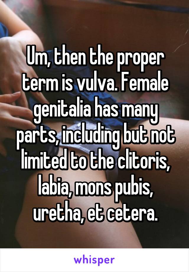 Um, then the proper term is vulva. Female genitalia has many parts, including but not limited to the clitoris, labia, mons pubis, uretha, et cetera.