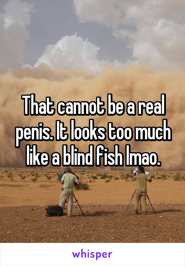 That cannot be a real penis. It looks too much like a blind fish lmao.