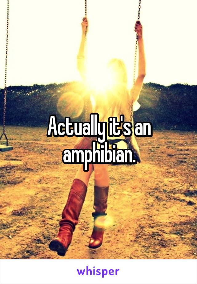 Actually it's an amphibian.