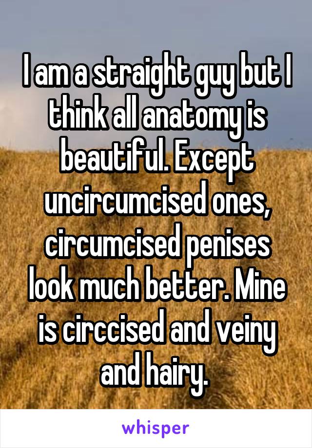 I am a straight guy but I think all anatomy is beautiful. Except uncircumcised ones, circumcised penises look much better. Mine is circcised and veiny and hairy. 