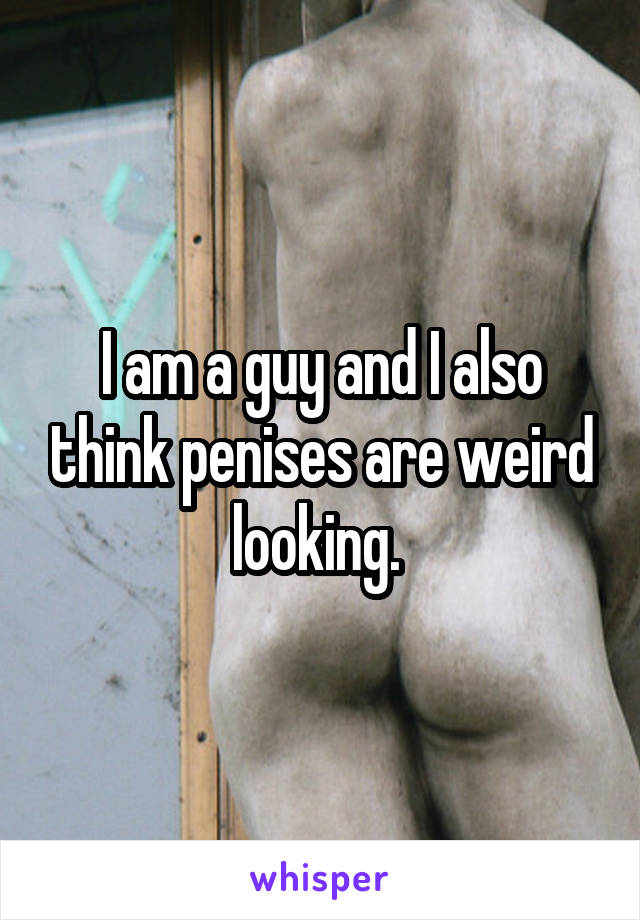 I am a guy and I also think penises are weird looking. 