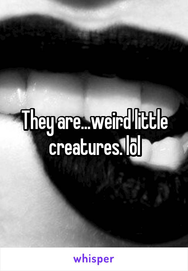 They are...weird little creatures. lol