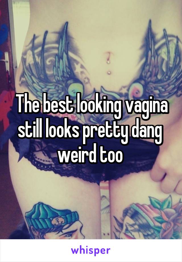 The best looking vagina still looks pretty dang 
weird too 