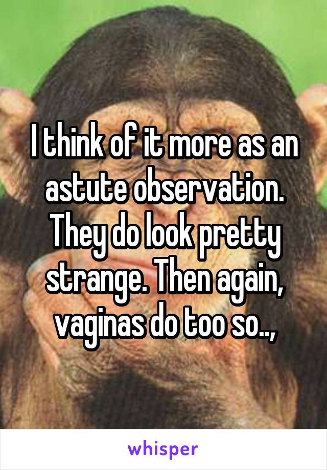 I think of it more as an astute observation. They do look pretty strange. Then again, vaginas do too so..,